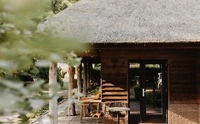 B&B Mollenvlied op de Veluwe